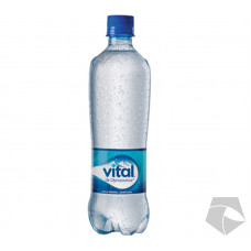 AGUA MINERAL CON GAS 600 CC VITAL