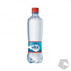 AGUA MINERAL SIN GAS 600 CC VITAL